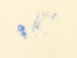 Retró porcelán asztali dísztál, jelzett, kis hibákkal, 27×12,5 cm