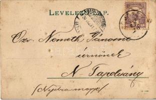 Szentléránt (Sorkifalud), Római katolikus iskola. photo (apró lyukak / pinholes)