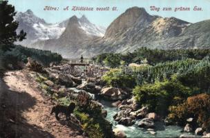 Tátra way to the Green lake