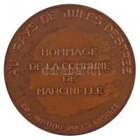 Franciaország DN "JULES DESTREE 1863-1936 / AU PAYS DE JULES DESTREE - ED. INSTITUT JULES DESTR...