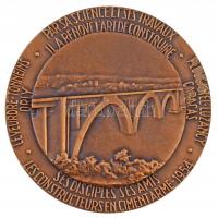 Franciaország 1954. "EUGENE FREYSSINET / LEVEURDRE-TONNEINS PAR SA SCIENCE ET SES TRAVAUX PLOUG...