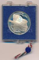 Csúcs Viktória (1934-) DN "Petőfi Sándor" jelzetlen emlékérem eredeti, plombált ÁPV plaszt...