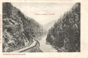 Petrozsény International road