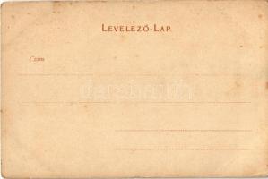 Tátra, Magas Tátra, Vysoké Tatry; Sziléziai ház és Virágoskerttorony. Kunstverlag v. F. Pietschmann ...