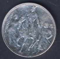 1896. 1K Ag "Jubileum" T:3