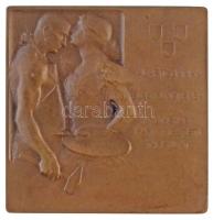 Berán Lajos (1882-1943) 1904. "Trefort Ágoston 1817-1888 /  Alapítójának és első elnökének - A ...