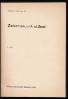 Stefan Sekowski: Galvanizáljunk otthon! Bp.,1976, Műszaki. Kiadói papírkötés