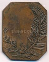 DN "Ifjú festő" Br emlékplakett, jelzett (40x51mm) T:2