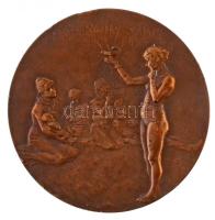 Beck Ötvös Fülöp (1873-1945) 1901. "Korányi Frigyes doktorrá avatásának 50. évfordulója" B...