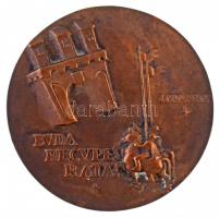 Ispánki József (1906-1992) 1936. "BVDA RECVPERATA 1686-1936" Buda visszafoglalásának 250. ...