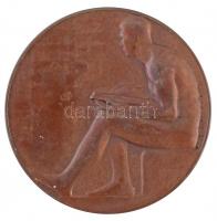 Berán Lajos (1882-1943) 1909. "Kőrösi Csoma Sándor 1784-1842" kétoldalas Br emlékérem, az ...