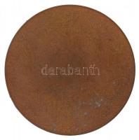 Kisfaludi Stróbl Zsigmond (1884-1975) 1925. "Grósz Emil" egyoldalas Br plakett. "AEMI...