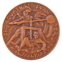 Németország / Weimari Köztársaság 1923. Ruhr-vidék megszállására kiadott szatirikus Br emlékérem. Szign.: Point-Caré (50mm) T:1- /  Germany / Weimar Republic 1923. Bronze satirical medal issued about the Ruhr occupation. Sign.: Point-Caré (50mm) C:AU