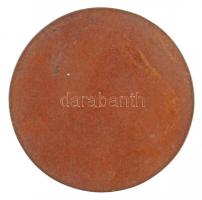 Vilt Tibor (1905-1983) DN "Dr. Bíró Gyula a szabad orvosválasztás előharcosa" kétoldalas, ...