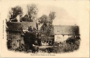 Teneur, Moulin de Erin / watermill