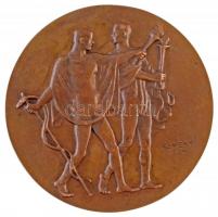 Reményi József (1887-1977) 1934. "Prof. Török Lajos Dr." kétoldalas Br plakett (354,70g/95...