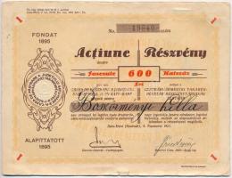 Románia / Satu-Mare (Szatmár) 1927. Szatmárvármegyei Takarékpénztár Részvénytársaság névre szóló részvénye 600L-ről, szelvényekkel, szárazpecséttel T:II,II-