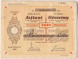 Románia / Satu-Mare (Szatmár) 1927. Szatmárvármegyei Takarékpénztár Részvénytársaság névre szóló 5db részvénye egyben, összesen 3000L-ről, szelvényekkel, szárazpecséttel T:II