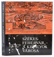 Veress D. Csaba - Siklósi Gyula: Székesfehérvár, a királyok városa. Bp., 1990, Zrínyi Kiadó. Műbőr kötésben, kicsit sérült védőborítóval.