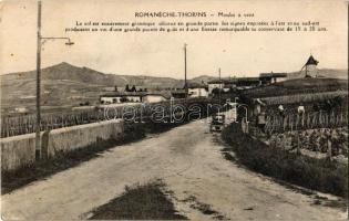 Romaneche-Thorins, Moulin a vent / windmill (EK)