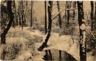 1918 Zirc, az apátság angol kertje télen (EK)