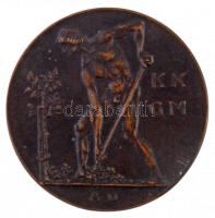 Német Birodalom 1911. "Dekoratív Művészeti Múzeum Berlin" Br emlékérem (73mm) T:2
German ...