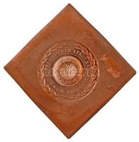 NDK 1985. "VI. Kerületi Érmekiállítás Saalfeld" csegely formájú Br emlékérem (63x61mm) T:2...