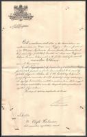 1914 Bp., Magyar királyi honvédelmi miniszter által kiadott miniszteri titkári kinevezés, rajta Báró...