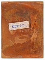 Kunvári Lilla (1897-1984) ~1959. "Verdi" Br emlékplakett (83x112mm) T:2