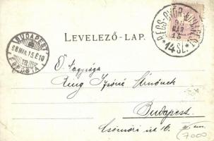 1898 Komárom, Komárnó; Kőszűz, Régi és új várkapu / rock statue, old and new castle gates. Art Nouve...