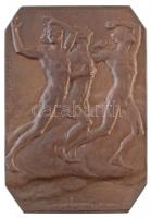 Beck Ö. Fülöp (1873-1945) 1905. "Petőfi Sándor" Br plakett, Éremkedvelők Egyesületének tag...