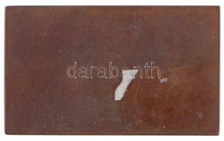 Franges-Mihanovic Róbert (1872-1940) 1907. "Európa" Br plakett, Éremkedvelők Egyesületének...