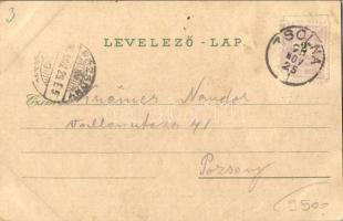 1898 Zsolna, Sillein, Zilina; Cs. kir. Szab. Kassa-Oderbergi vasút, vasútállomás gőzmozdonnyal, Pály...