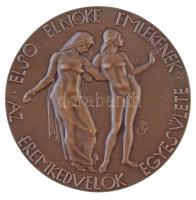 Telcs Ede (1872-1948) - Beck Ö. Fülöp (1873-1945) 1923. gr. Teleki Sándor Br plakett, Éremkedvelők Egyesületének tagsági érme, peremén ÉKE 1923, sorszámozott, 20-as sorszámmal (131,40g/60mm) T:1 / Hungary 1923. gr. Teleki Sándor Br plaque, membership medal of the Association of Medal Enthusiasts, with ÉKE 1923 and serial number 20 on edge Sign: Ede Telcs - Fülöp Ö. Beck (131,40g/60mm) C:UNC