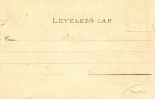 Losonc, Lucenec; Prónay kastély, Kaszárnya, Kármán emlék, Gácsi (Gáesi) utca / castle, military barr...