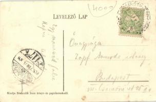 1906 Kistapolcsány, Malé Topolcianky; Főhercegi park, főkertészlak. Brunczlik Imre kiadása / archduk...