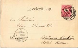 1899 Székesfehérvár, Ligetsor, utcakép. Kiadja Klökner Péter 641. (EK)