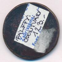 Pálffy Katalin (1949- ) DN "Csontváry Kosztka Tivadar" Br emlékérem (31mm) T:1-