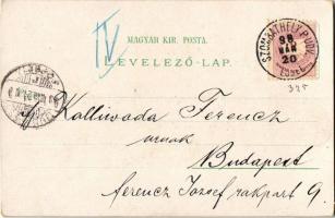 1898 Szombathely, Fő tér, Szentháromság szobor, Vármegyeház, Székesegyház, hölgy szőlővel. Regel &am...