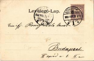 1900 Szombathely, Piac, piaci árusok szekerekkel, bútorraktár, Deutsch Miksa, Leszler üzlete. Knebel...