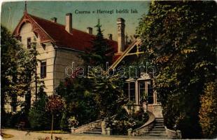 1917 Csorna, Hercegi bérlői lak, villa, kastély. Martincsevics Károly (vágott / cut)