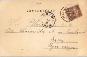 1901 Budapest II. Lipótmező. Divald Károly 343. (EK)