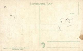 Hévíz-gyógyfürdő (Keszthely). montázs (kis szakadás / small tear)