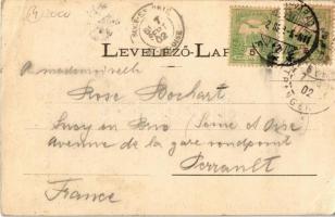 1902 Tenke, Tinca; Tenkei Gyógyfürdő. Kiadja Lévy Dávid / spa, bathing house (EK)