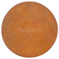 Kiss Sándor (1925-1999) DN "Bartók Béla 1881-1945" Br emlékplakett (100mm) T:1-