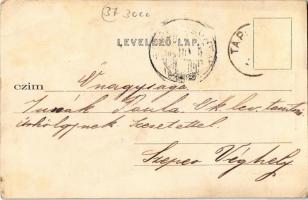 Tápióbicske, Tápió-Bicske; Az újonnan épült Állami Népiskola. Kiadja Schwartz Samu (EK)