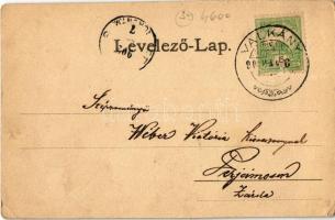 1902 Valkány, Valcani; Vasútállomás, vasutasok, gőzmozdony / Bahnhof / railway station, railwaymen, ...