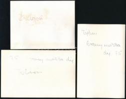 cca 1975 Tóbiás, Tájfun és Zsugori versenylovak, 3 db fotó, hátuljukon feliratozva, 9×14 ill. 9×12 c...