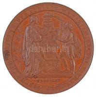 Ausztria 1865. "Bécsi Egyetem 500. évfordulója" Br emlékérem "VNIVERSITAS LITTERARVM ...