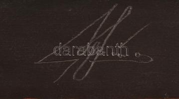 Molnár János (?-): Salvador Dali. vegyes technika, papír, jelzett, 53×40 cm